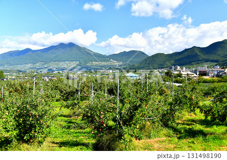 高社山～湯田中駅周辺を望む(長野県山ノ内町)【2025.9】 131498190