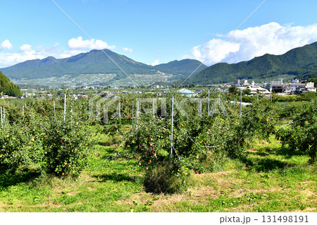 高社山~湯田中駅周辺を望む(長野県山ノ内町)【2025.9】 高社山~湯田中駅周辺を望む(長野県山ノ内町)【2025.9】 131498191