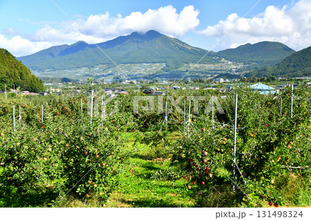 高社山~湯田中駅周辺を望む(長野県山ノ内町)【2025.9】 高社山~湯田中駅周辺を望む(長野県山ノ内町)【2025.9】 131498324