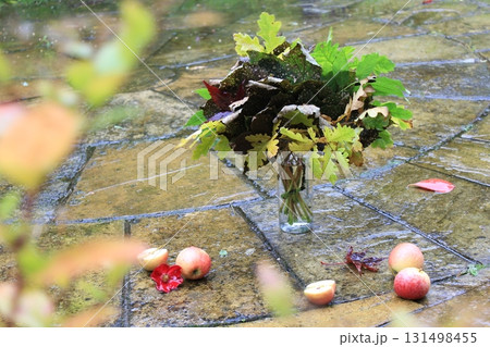 A composition of autumn leaves and apples on the ground A composition of autumn leaves and apples on the ground 131498455