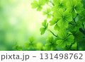 Green background with green clover. Сoncept Irish St. Patrick Day 131498762