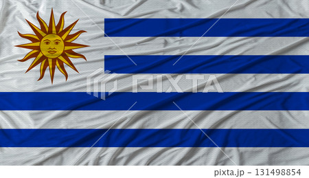 Uruguayan flag waving. Flag of Uruguay with cloth texture Uruguayan flag waving. Flag of Uruguay with cloth texture 131498854