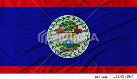 Belizean flag waving. Flag of Belize with cloth texture 131498864