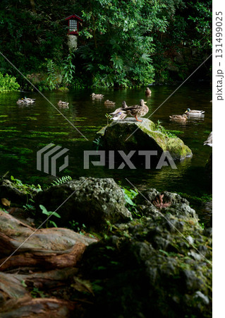 湧玉池 湧玉池 131499025