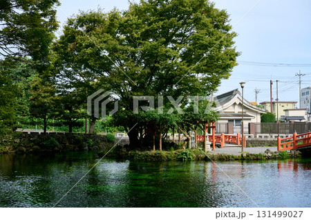 湧玉池 湧玉池 131499027