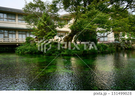 湧玉池 湧玉池 131499028