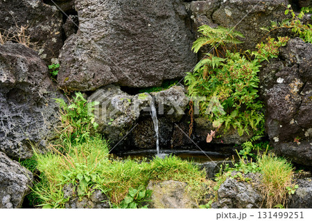 不尽の名水 131499251