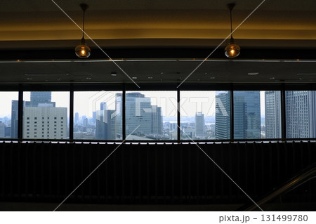 高層ビルから望む都市のパノラマ風景(ペンダントライト) 高層ビルから望む都市のパノラマ風景(ペンダントライト) 131499780