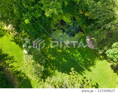 Enlgish green garden with multpiple type of trees and plants Enlgish green garden with multpiple type of trees and plants 131500627