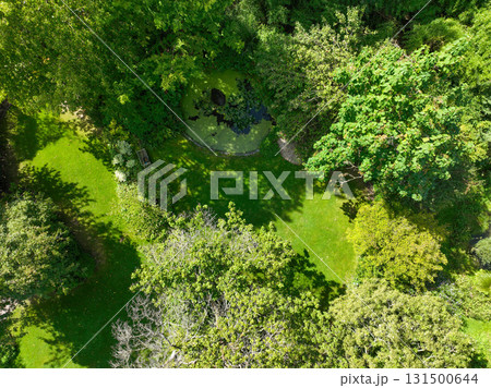 Enlgish green garden with multpiple type of trees and plants Enlgish green garden with multpiple type of trees and plants 131500644