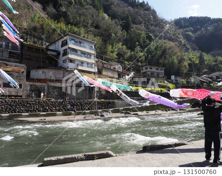 対岸に広がるこいのぼり ― 杖立温泉、山裾の住宅と設営風景 131500760