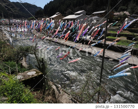 川を越えてつながる色 ― 杖立温泉、こいのぼり設営と里の風景 131500770