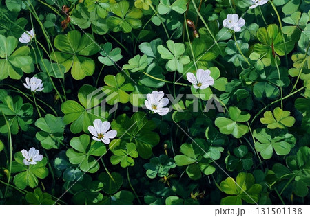 Green Clover Plant and Flower Background Green Clover Plant and Flower Background 131501138