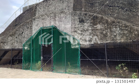 掩体壕　掩体壕跡　戦争遺構  (長崎県大村市／下原口公園) 131501497