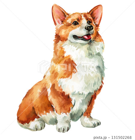 Watercolor Corgi Dog Illustration. Cute Pet Portrait of Welsh Pembroke Corgi, Fluffy Puppy Clipart, Dog Lover Art Watercolor Corgi Dog Illustration. Cute Pet Portrait of Welsh Pembroke Corgi, Fluffy Puppy Clipart, Dog Lover Art 131502268