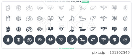 Human Organ Human Organ 131502549