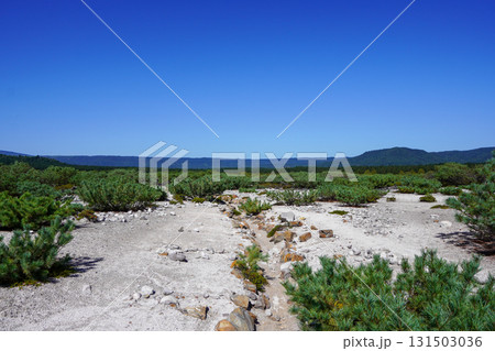 つつじヶ原自然探勝路・硫黄山のあたり 131503036