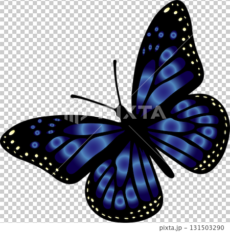 Butterfly with Blue Open Wings. Mythical Insect Silhouette. Magical Garden Illustration. Whimsical Flying Insect. Vibrant Monarch Butterfly Art. Luminous Translucent Wings. Delicate Nature Element.  Butterfly with Blue Open Wings. Mythical Insect Silhouette. Magical Garden Illustration. Whimsical Flying Insect. Vibrant Monarch Butterfly Art. Luminous Translucent Wings. Delicate Nature Element.  131503290