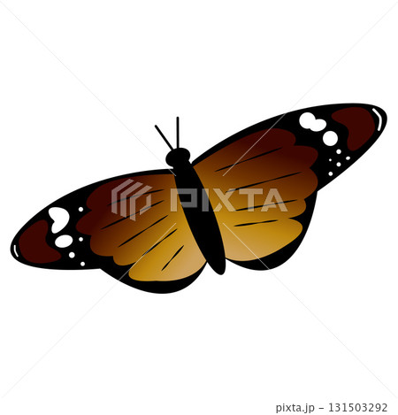 Danaus Chrysippus Butterfly with Distinctive Wing Pattern. African Monarch Butterfly in Natural Pose. Intricate Insect Wing Art. Species Specific Butterfly Graphic. Detailed Lepidoptera Illustration. 131503292