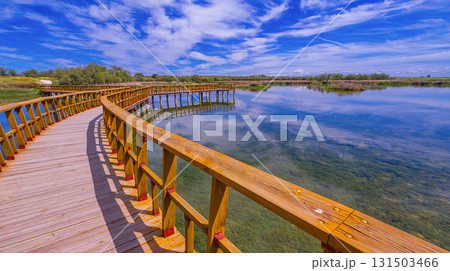 Tablas de Daimiel National Park, Spain Tablas de Daimiel National Park, Spain 131503466