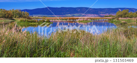 Tablas de Daimiel National Park, Spain 131503469
