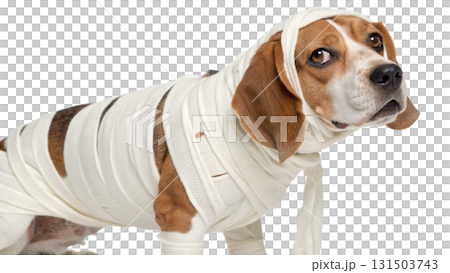 dogs wearing Halloween costumes, isolated on a transparent background PNG 131503743