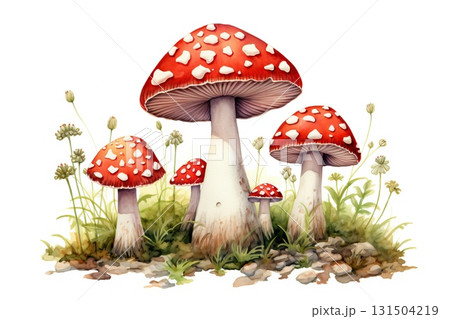 A watercolor illustration of various red mushrooms with white spots on white background 131504219