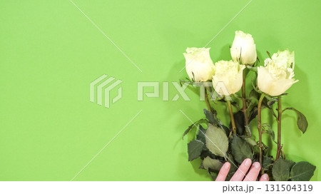A person adjusts the placement of several white roses while preparing a bouquet. The stems are held upright and close together. 131504319