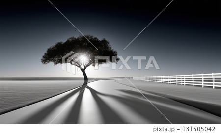 Tree silhouette with sunburst and path in a serene black and white landscape 131505042