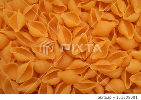 Dry conch shell pasta close-up. 131505081