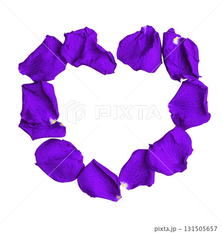 Vibrant purple flower petals arranged in heart shape on transparency background, creating striking and romantic visual. vivid color and delicate texture evoke feelings of love and beauty 131505657