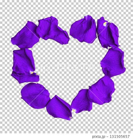 Vibrant purple flower petals arranged in heart shape on transparency background, creating striking and romantic visual. vivid color and delicate texture evoke feelings of love and beauty 131505657