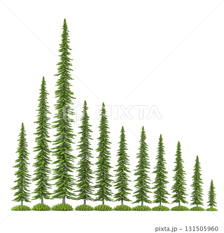 row of evergreen trees arranged in descending order of height creates visually appealing pattern, symbolizing growth and natural beauty. lush green foliage adds serene touch 131505960