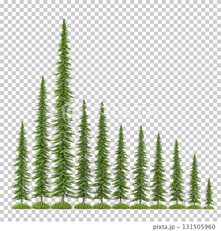 row of evergreen trees arranged in descending order of height creates visually appealing pattern, symbolizing growth and natural beauty. lush green foliage adds serene touch 131505960
