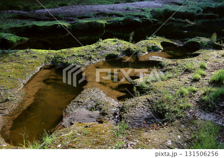 真米甌穴群 131506256