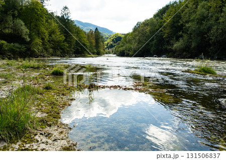 Beautiful Natural Background with Forest River in Summer 131506837