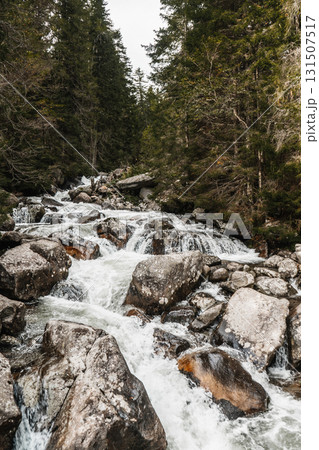 Mountain stream in forest with rocks scenic and peaceful nature 131507517