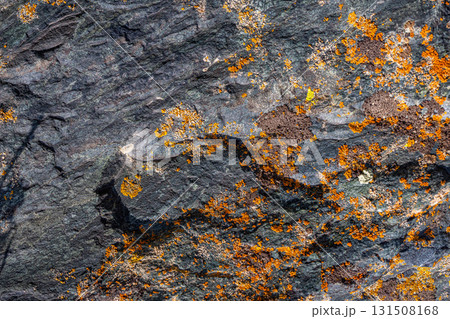 Rough textured sedimentary rock covered with vibrant lichen - texture and background Rough textured sedimentary rock covered with vibrant lichen - texture and background 131508168