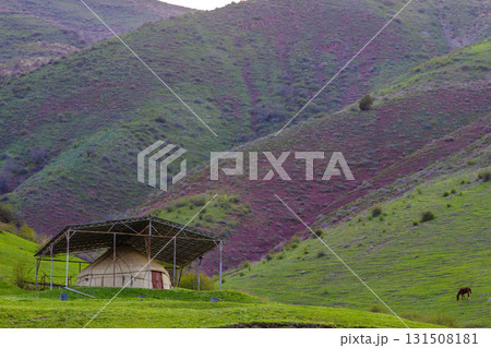 Horse grazing near yurt under metal shelter in peaceful mountainous grassland 131508181