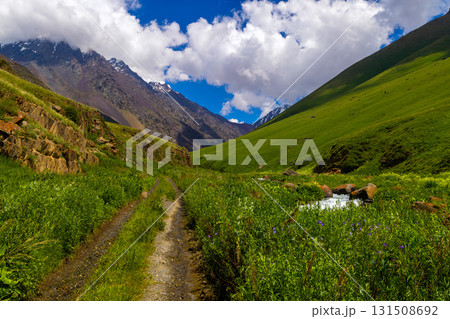 Serene mountain valley with dirt road and stream in Kyrgyzstan 131508692