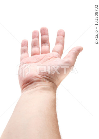 Male adult hand offering gesture in studio with white background Male adult hand offering gesture in studio with white background 131508732