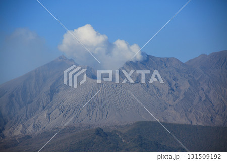 道の駅たるみずから見た桜島 131509192