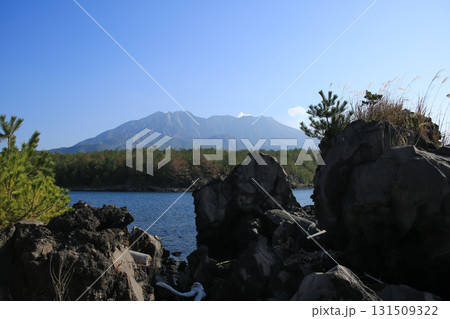 溶岩なぎさ遊歩道から見た桜島 131509322