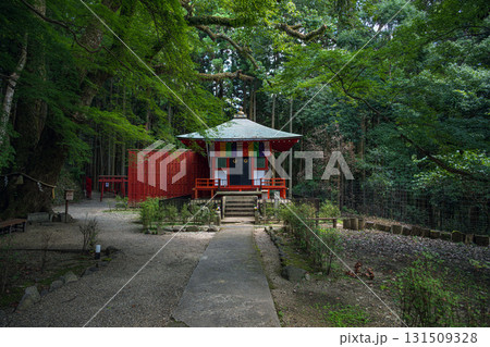 奈良 談山神社 如意輪観音堂 奈良 談山神社 如意輪観音堂 131509328