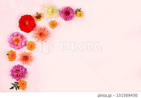 Beautiful dahlia and marigold flowers on a pink background, abstract floral arrangement, spring or autumn background with space for text, minimal holiday concept, still life, greeting card. selective Beautiful dahlia and marigold flowers on a pink background, abstract floral arrangement, spring or autumn background with space for text, minimal holiday concept, still life, greeting card. selective 131509430