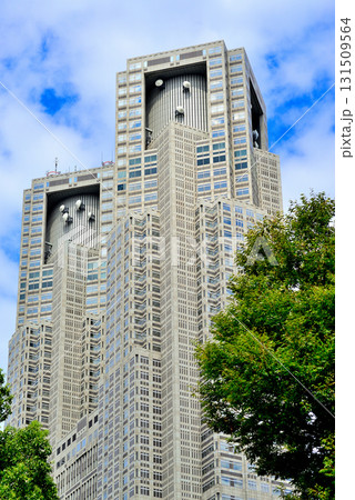 新宿新都心 都庁 超高層ビル群 新宿新都心 都庁 超高層ビル群 131509564