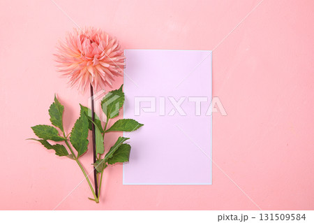 Autumn flower arrangement, abstract background flat lay, minimal concept of holiday, thanksgiving day. Mother's day card, happy birthday, wedding, place for text 131509584