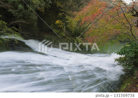 養老渓谷・養老川 粟又の滝 滝口 / Yoro Valley, Chiba, Japan 131509738