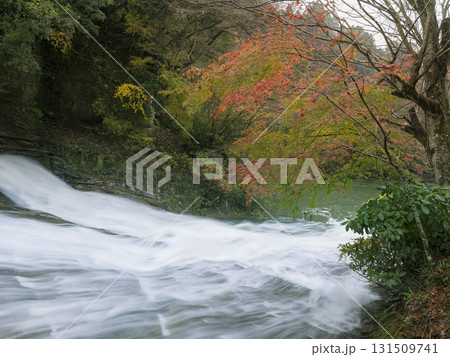 養老渓谷・養老川 粟又の滝 滝口 / Yoro Valley, Isumi, Japan 131509741