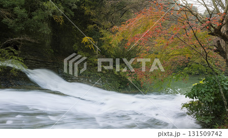 養老渓谷・養老川 粟又の滝 滝口 / Yoro Valley, Chiba, Japan 131509742